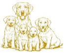 labrador family