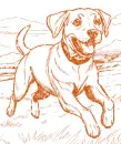 dog (Bren)