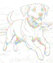 dog (Bren)