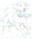 dog (Bren)