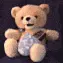 talking teddy bear