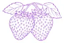 strawberries