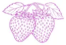 strawberries