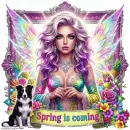 Spring is coming
