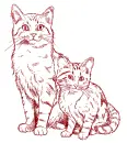 cats