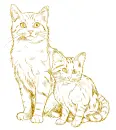 cats