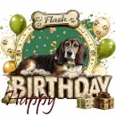 Flash Bday