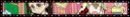 Candy Pop Nightmare 