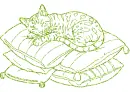 cat