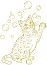 cat