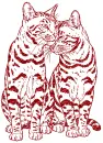 cat