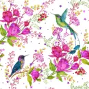 hummingbirds