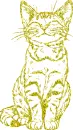 cat