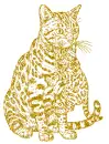 cat