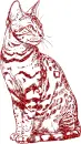 cat