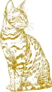 cat