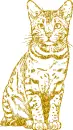cat