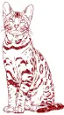 cat
