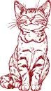cat
