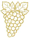 grape