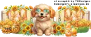 Sunglasses Dog divider