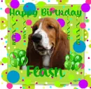 Happy Birthday Flash