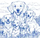 dog Golden retrievers 