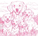 dog Golden retrievers 