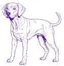 dog Labrador 