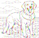 dog Golden retriever 