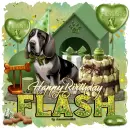 Happy Birthday Flash