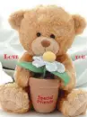 for you special friend