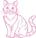 cat