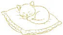 cat