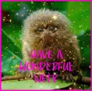 have a wonderful week