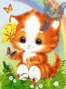 kitten