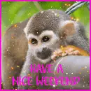 have a nice weekend