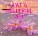 have a wonderful week