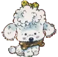 white poodle with bone