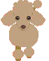 brown poodle