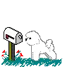 white poodle with mailbox
