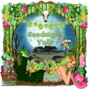 Good Night you all