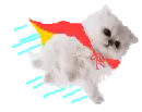 super kitty