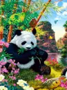 panda bear
