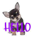 hello