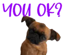 you ok?