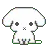 shaking white puppy