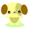 yellow puppy