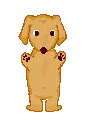 dancing dog