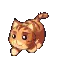 cat walking